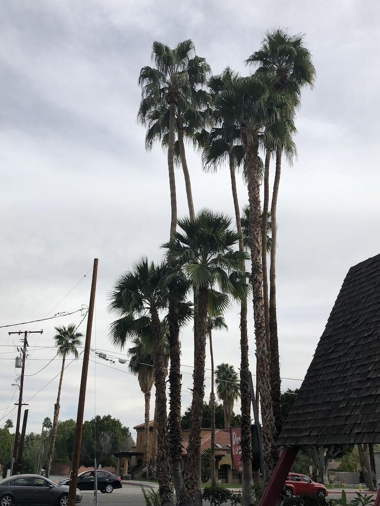 Desert Lodge Palm Springs Exterior foto