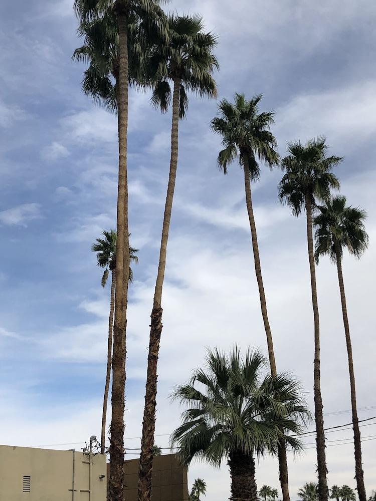 Desert Lodge Palm Springs Exterior foto